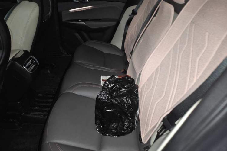 Used Lynk & Co 02 2020 1.5T DCT Two-Wheel Drive Zhaopu Version Left Rear Seat