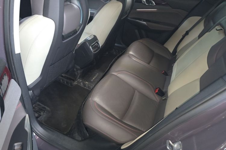 Used Lynk & Co 02 2020 High-Energy Edition 2.0T Automatic Two-Wheel Drive Shine Pro Edition Left Rear Seat