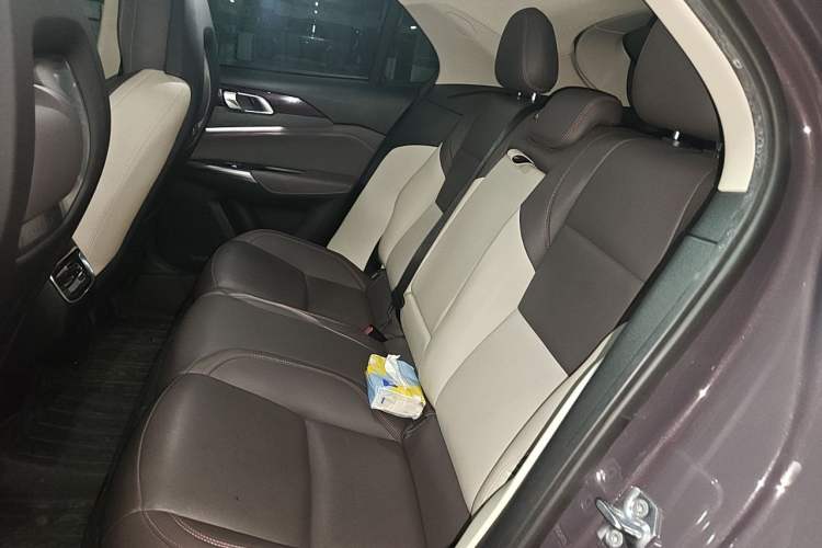 Used Lynk & Co 02 2020 High-Energy Edition 2.0T Automatic Two-Wheel Drive Shine Pro Edition Left Rear Seat