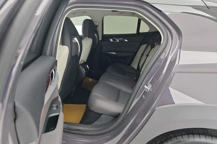 Used Lynk & Co 02 2020 High-Energy Edition 2.0T Automatic Two-Wheel Drive Shine Pro Edition Left Rear Seat
