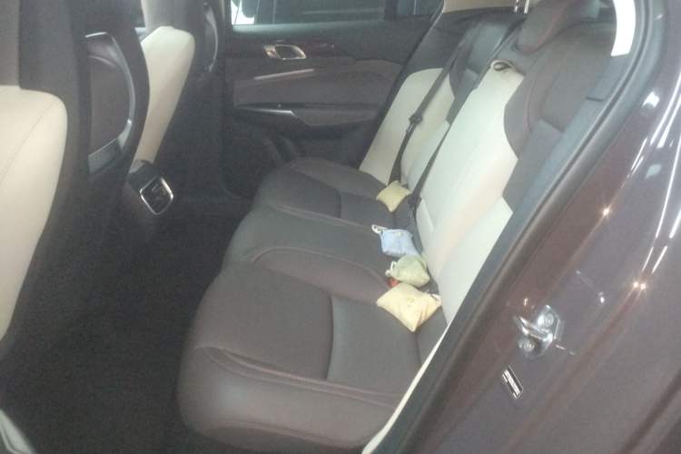 Used Lynk & Co 02 2020 High-Energy Edition 2.0T Automatic Two-Wheel Drive Shine Pro Edition Left Rear Seat