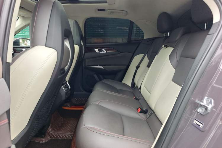 Used Lynk & Co 02 2020 High-Energy Edition 2.0T Automatic Two-Wheel Drive Shine Pro Edition Left Rear Seat