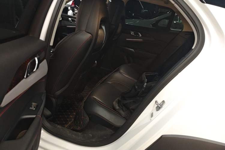 Used Lynk & Co 02 2020 High-Energy Edition 2.0T Automatic Two-Wheel Drive Pro Version Left Rear Seat