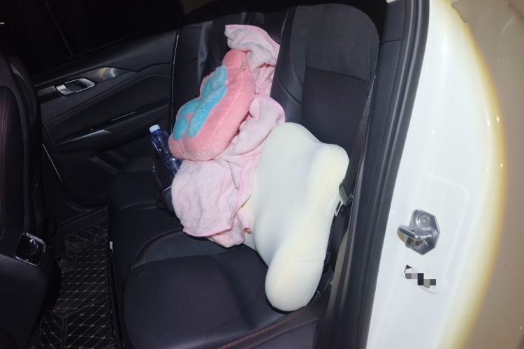 Used Lynk & Co 02 2020 1.5T DCT Two-Wheel Drive Pro Edition Left Rear Seat
