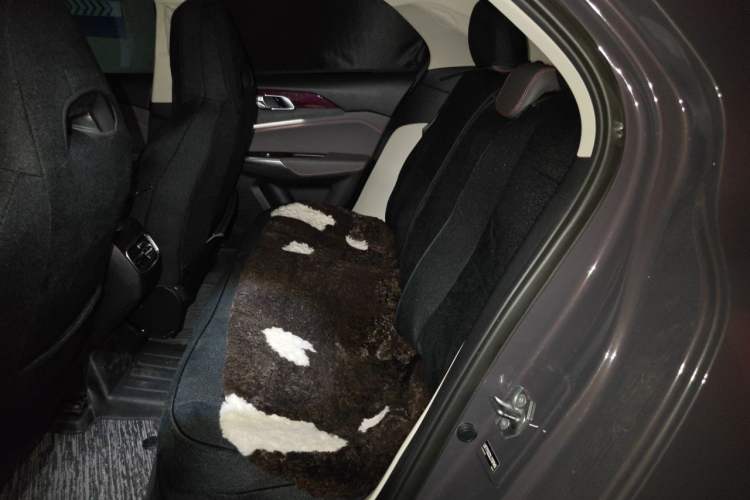 Used Lynk & Co 02 2021 2.0TD Automatic Two-Wheel Drive Zhaoshang Champion Edition Left Rear Seat