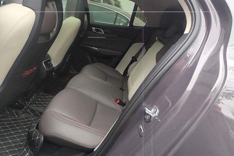 Used Lynk & Co 02 2021 2.0TD Automatic Two-Wheel Drive Zhaoshang Champion Edition Left Rear Seat