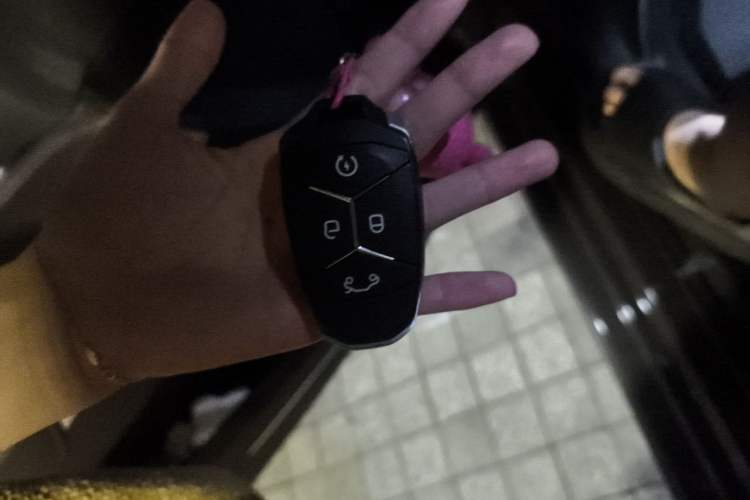 Used Lynk & Co 02 2021 2.0TD Automatic Two-Wheel Drive Zhaoshang Champion Edition Vehicle Key