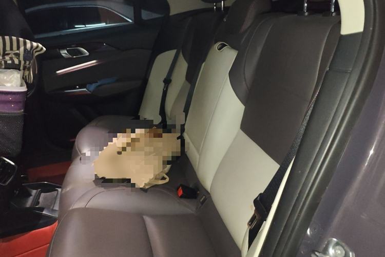 Used Lynk & Co 02 New Energy 2019 1.5T PHEV Pro Left Rear Seat