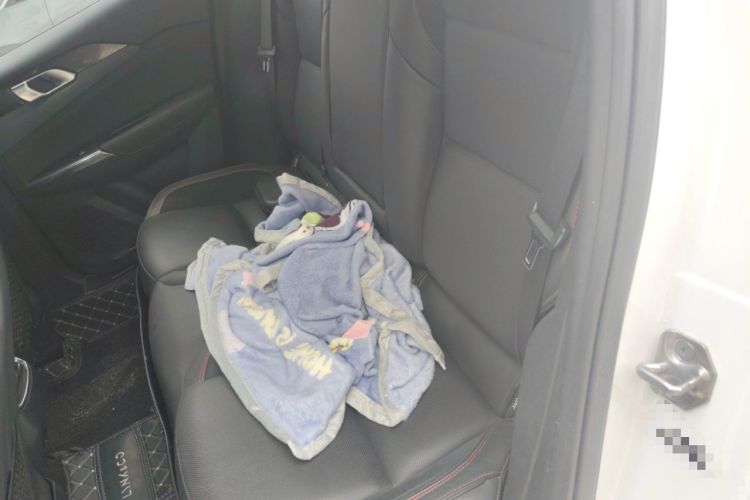 Used Lynk & Co 03 2018 1.5TD DCT JingPro Edition China V Standard Left Rear Seat