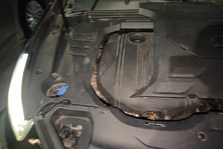 Used Lynk & Co 03 2019 1.5TD DCT JingPro Edition China VI Standard Engine Bay Right