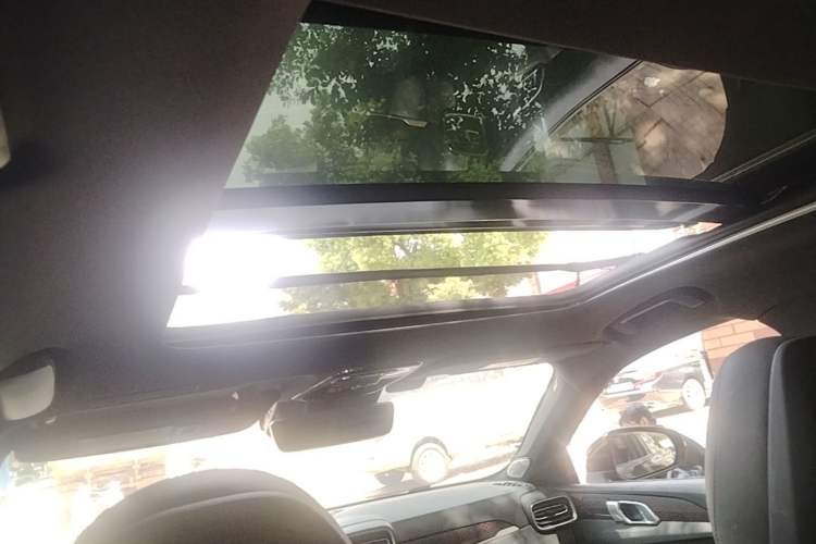 Used Lynk & Co 03 2019 1.5TD DCT JingPro Edition China VI Standard Headliner