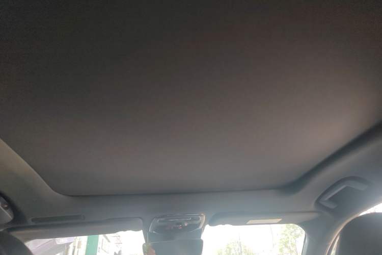 Used Lynk & Co 03 2019 1.5TD DCT JingPro Edition China VI Standard Headliner