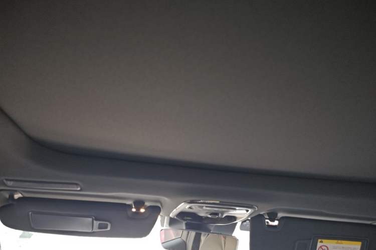Used Lynk & Co 03 2019 1.5TD DCT JingPro Edition China VI Standard Headliner