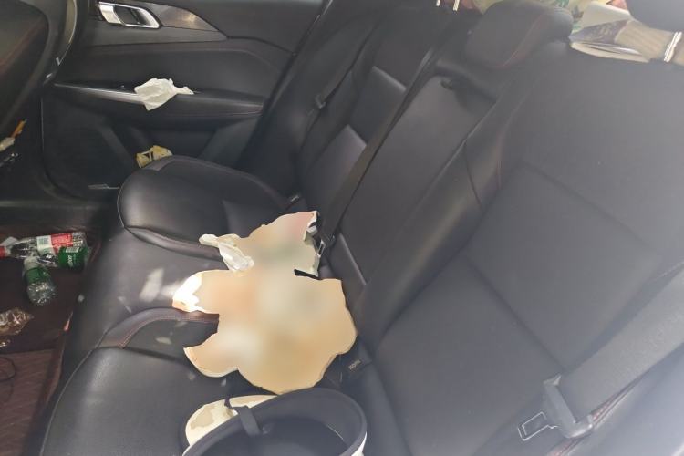 Used Lynk & Co 03 2019 1.5TD DCT Sport Edition China VI Standard Left Rear Seat