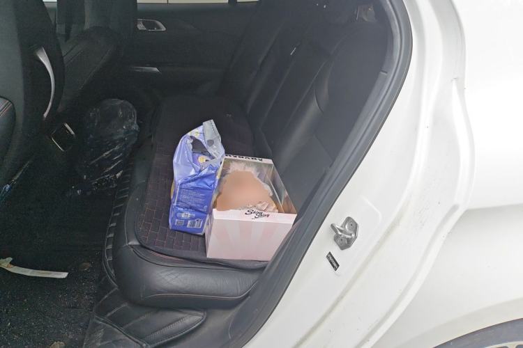 Used Lynk & Co 03 2019 1.5TD DCT JingPro Edition China VI Standard Left Rear Seat