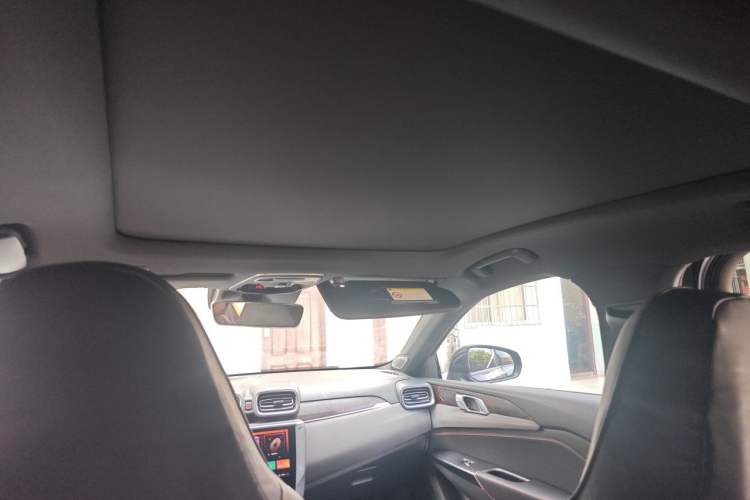 Used Lynk & Co 03 2020 1.5TD DCT JingPro Edition Headliner