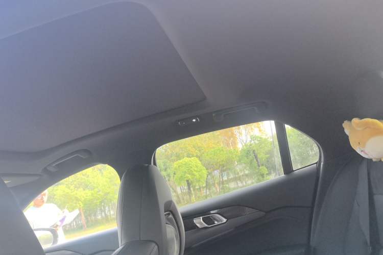 Used Lynk & Co 03 2020 1.5TD DCT JingPro Edition Headliner