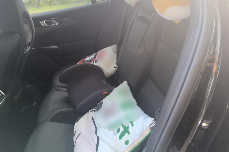 Used Lynk & Co 03 2020 1.5TD DCT JingPro Edition Left Rear Seat