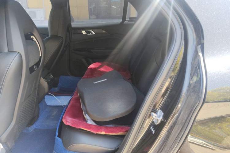 Used Lynk & Co 03 2021 1.5TD DCT Jing Champion Edition Left Rear Seat