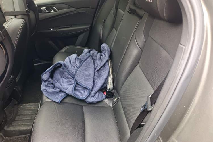 Used Lynk & Co 03 2021 1.5TD DCT Jing Champion Edition Left Rear Seat