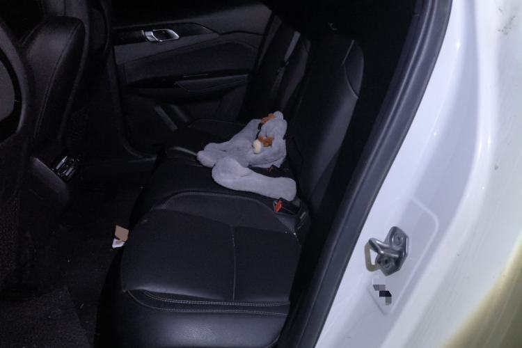 Used Lynk & Co 03 2021 1.5TD DCT Jing Champion Edition Left Rear Seat