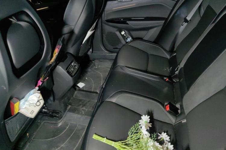 Used Lynk & Co 03 2022 1.5TD DCT JingPro Left Rear Seat
