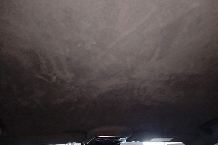 Used Lynk & Co 03 2022 03+ Cyan Custom Performance Kit Headliner