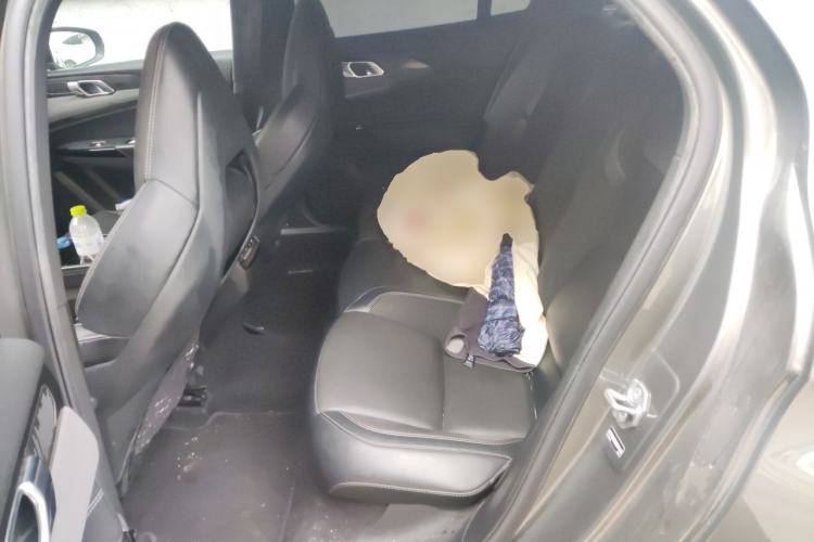 Used Lynk & Co 03 2022 2.0TD DCT JingPro Left Rear Seat