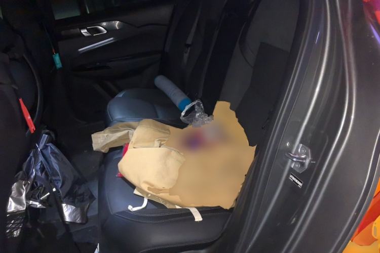 Used Lynk & Co 03 2022 2.0TD DCT JingPro Left Rear Seat