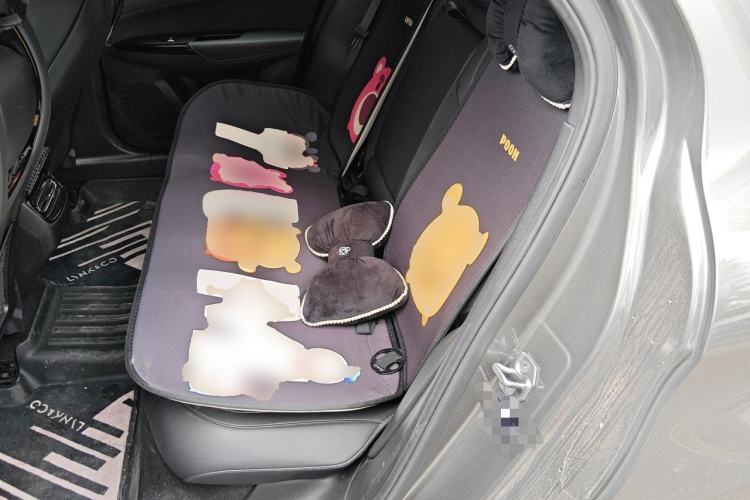 Used Lynk & Co 03 2022 2.0TD DCT JingPro Left Rear Seat