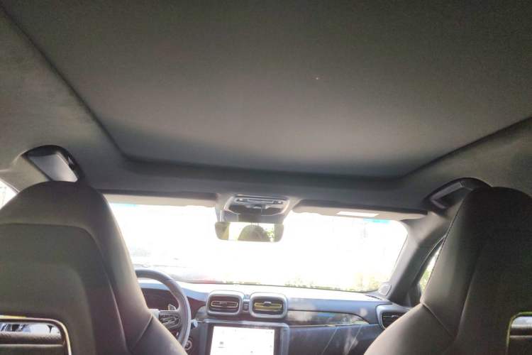 Used Lynk & Co 03 2022 03+ 2.0TD Automatic Wind-Chasing Edition Headliner