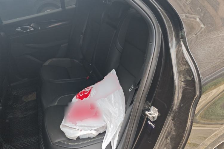 Used Lynk & Co 03 2023 2.0TD DCT JingPro Left Rear Seat