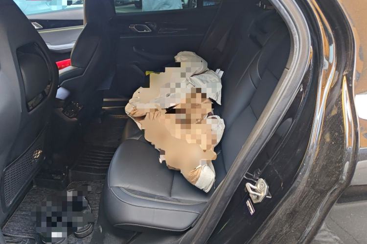 Used Lynk & Co 03 2023 1.5TD DCT JingPro Left Rear Seat