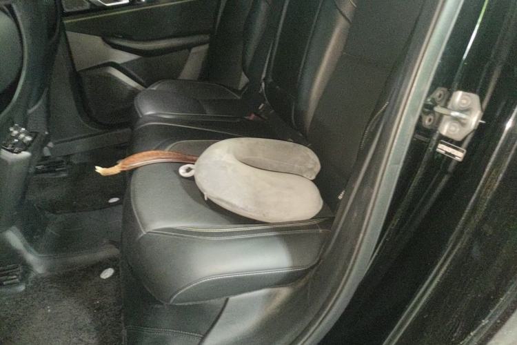 Used Lynk & Co 03 2023 1.5TD DCT JingPro Left Rear Seat