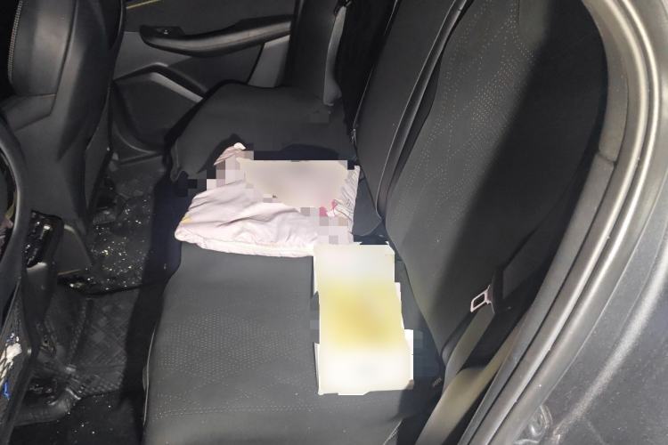 Used Lynk & Co 03 2023 1.5TD DCT JingPlus Left Rear Seat