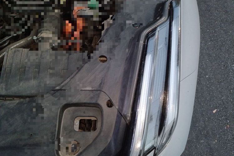 Used Lynk & Co 03 2023 1.5T EM-F PM Engine Bay Left