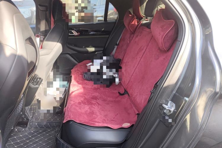 Used Lynk & Co 03 2023 1.5TD DCT JingPro Left Rear Seat