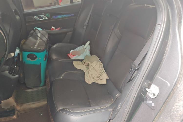 Used Lynk & Co 03 2023 2.0TD DCT JingPro Left Rear Seat