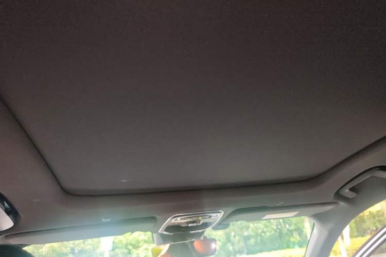 Used Lynk & Co 03 2023 1.5T EM-F PM Headliner