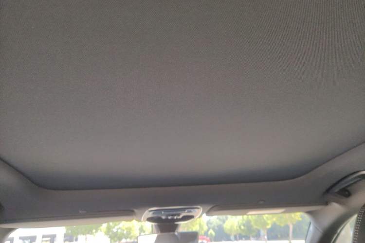 Used Lynk & Co 03 2023 1.5T EM-F AM Headliner