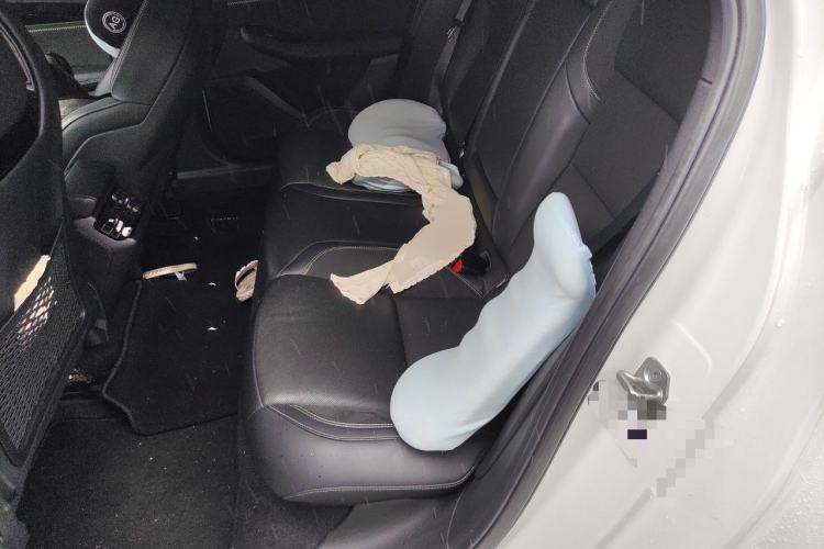 Used Lynk & Co 03 2023 2.0TD DCT JingPro Left Rear Seat