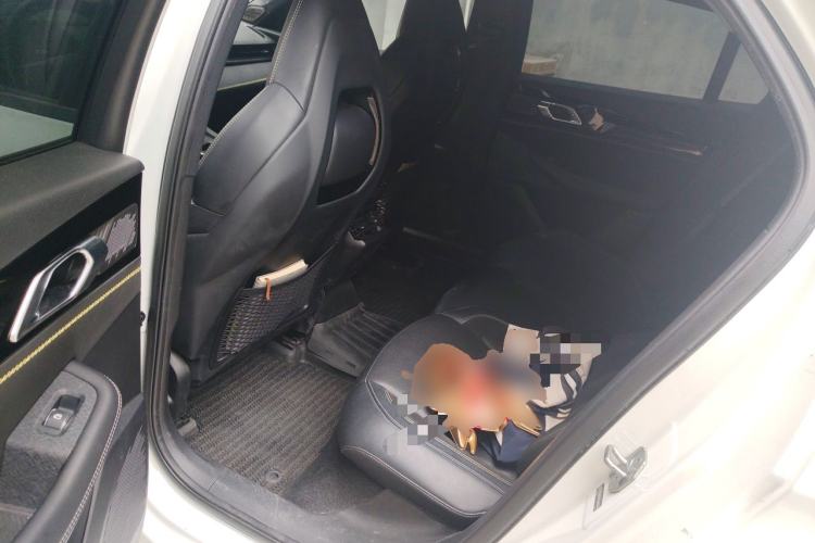 Used Lynk & Co 03 2023 2.0TD DCT H-Power Halo Left Rear Seat