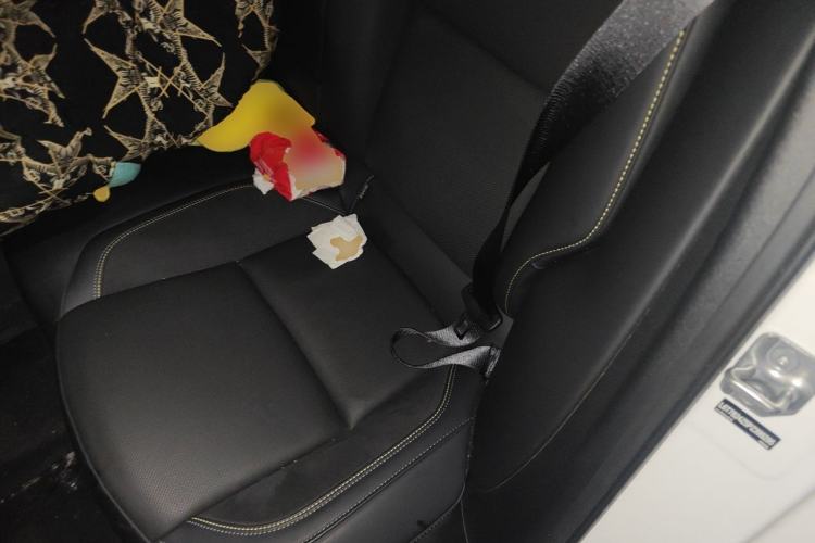 Used Lynk & Co 03 2023 1.5TD DCT JingPro Left Rear Seat