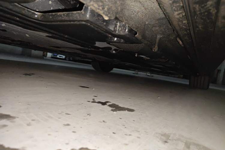 Used Lynk & Co 03 2025 1.5TD DCT Champion Edition Pro Chassis Rear Right