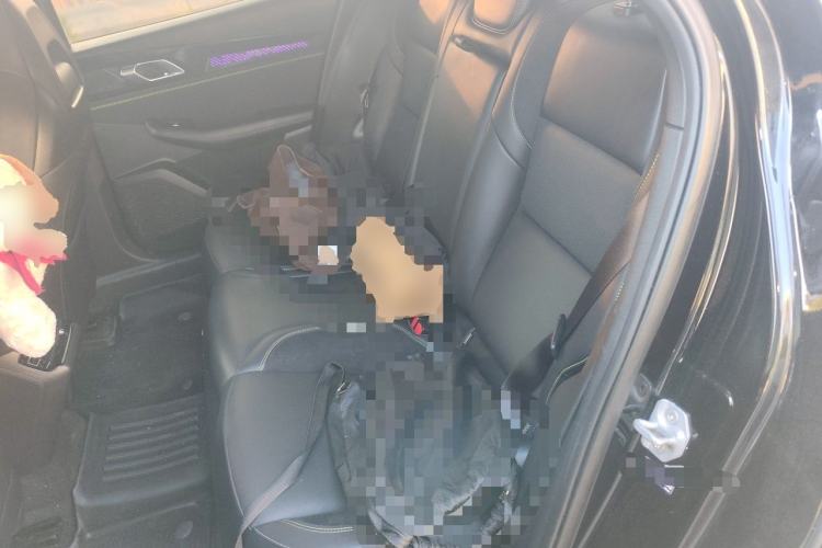 Used Lynk & Co 03 2025 2.0TD DCT Champion Edition Pro Left Rear Seat