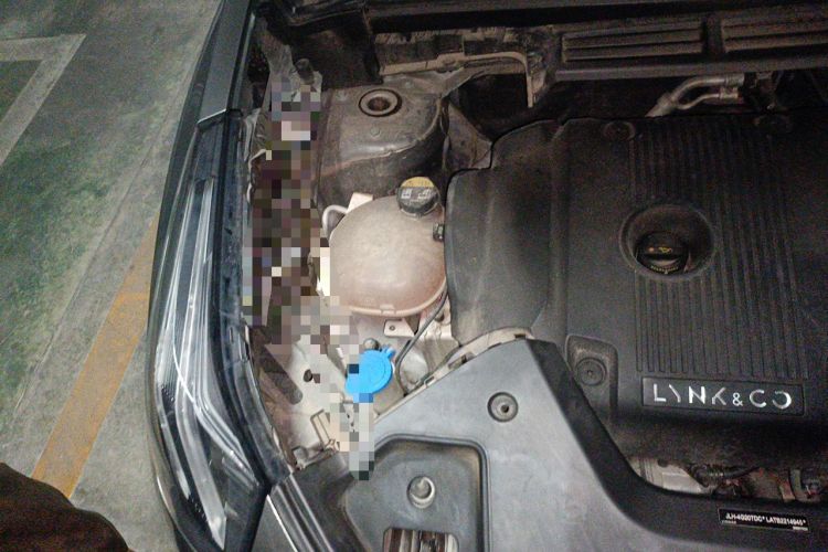 Used Lynk & Co 05 2020 2.0TD Two-Wheel Drive Shine Halo Engine Bay Right