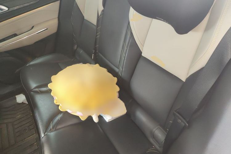 Used Lynk & Co 05 2020 2.0TD Two-Wheel Drive Shine Halo Left Rear Seat