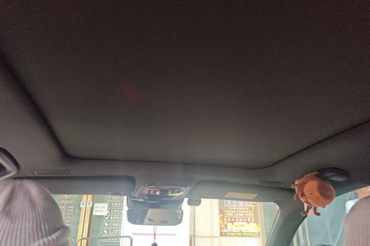 Used Lynk & Co 05 2020 2.0TD Four-Wheel Drive HypeHalo Headliner