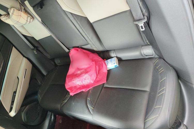 Used Lynk & Co 05 2022 2.0T Two-Wheel Drive Shine Halo Left Rear Seat