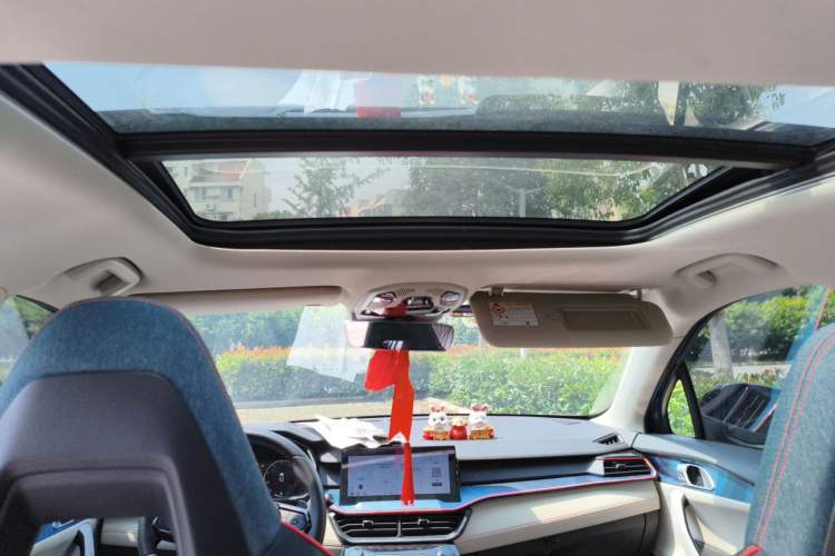 Used Lynk & Co 06 2020 1.5T YAO Halo Headliner